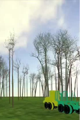 点云树模型与仿真树林
